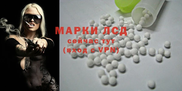 соль ск Горнозаводск