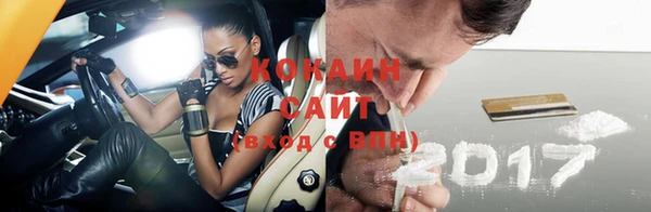 соль ск Горнозаводск