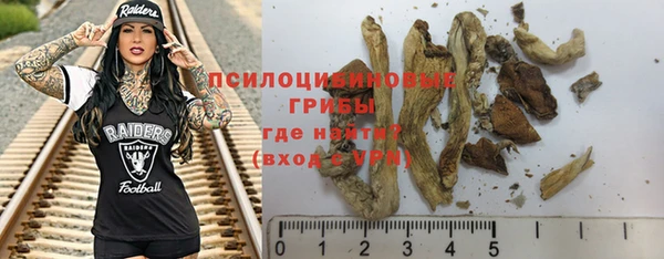 соль ск Горнозаводск