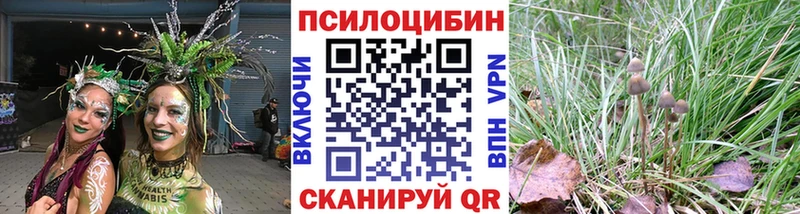 Псилоцибиновые грибы ЛСД  Петровск 